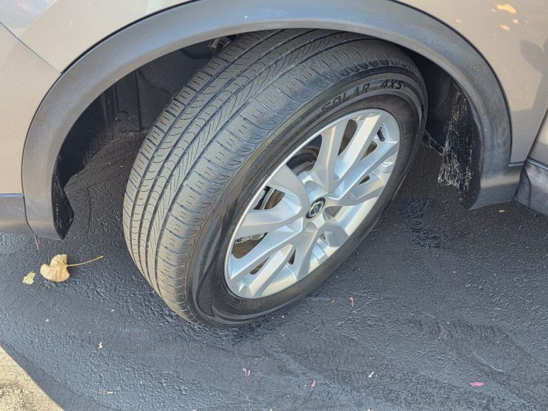 1cb4cd75-5a4a-44a9-8950-d7cc05673279