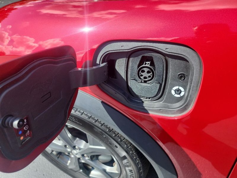 1da88e42-ab8b-4c8f-a994-c8baae1e7a1d