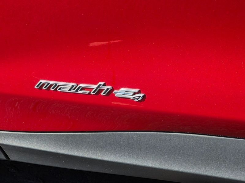 32a9c203-cc6f-4c65-8588-f8663f5a60dd