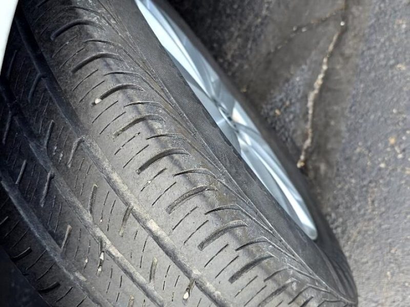 3ad3a890-75a5-466b-944d-62f59e02bd3a