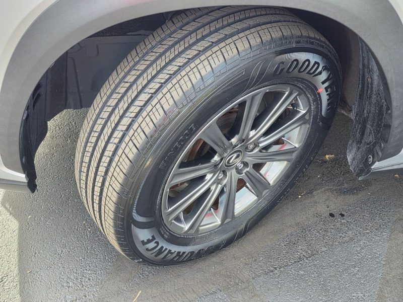 48c173cc-02cb-46a2-a0d8-f7d9ed29edc7