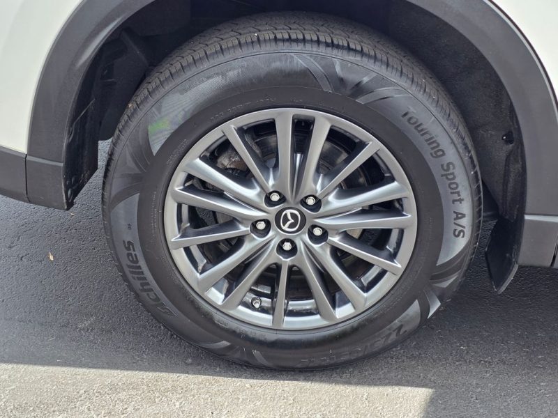 8142ecc2-5be1-46af-943d-dfb390cc9c45