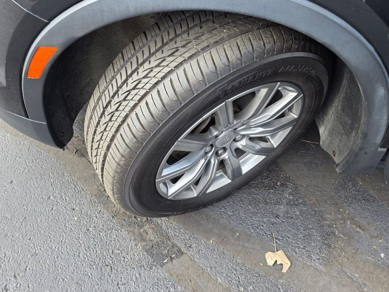 81934862-9500-4c7c-a3e2-2b2550609feb