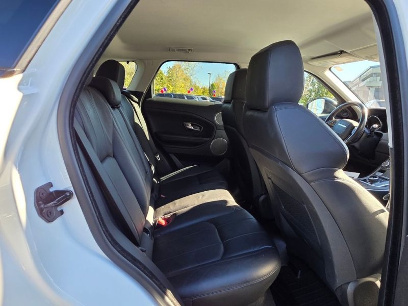 92a3d778-da61-4cff-8f22-cea7d074061e