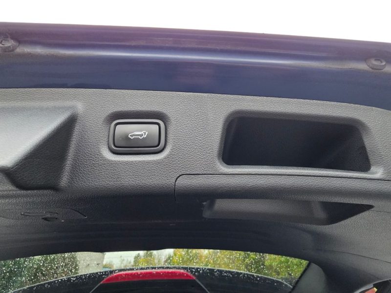 9e1919d0-bff5-4d1d-be16-9dbfea5130f4