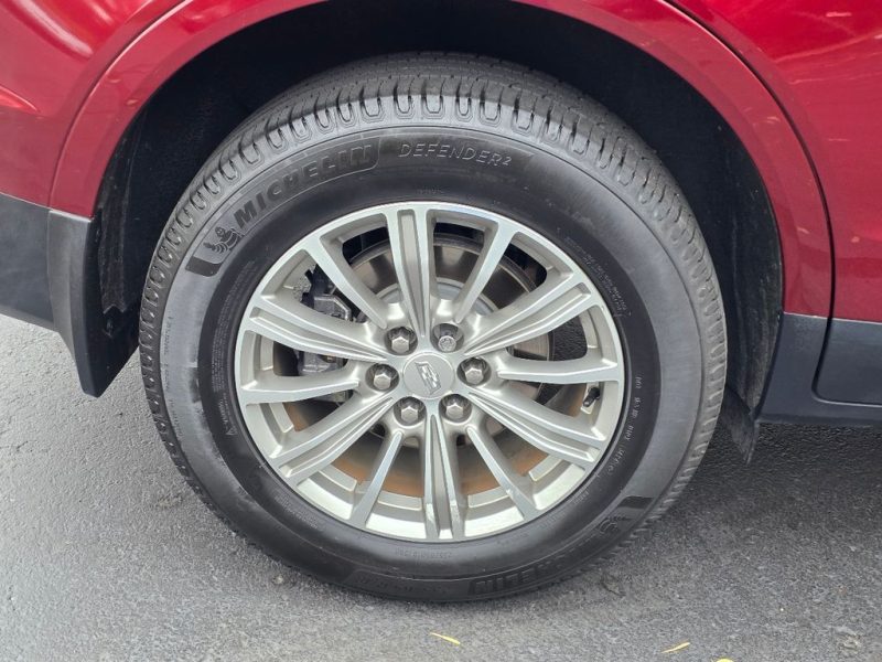 b5f9ad9b-b23e-4829-8244-ed6b66323eb0