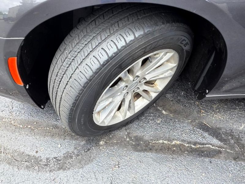 cef6ce8b-e4ee-42b6-813b-755cb18caaa8