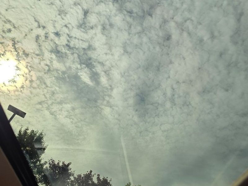 f88f77a8-01f7-4e2f-be81-fe22364eeaf3