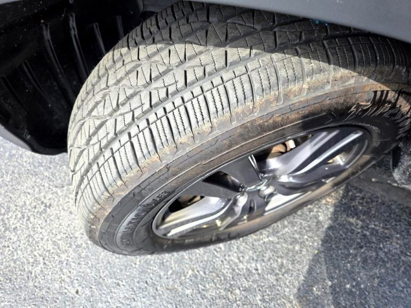 fff55aab-fc62-4fae-94b4-b8ba6097640a